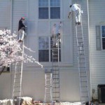 exterior_painting_ladders
